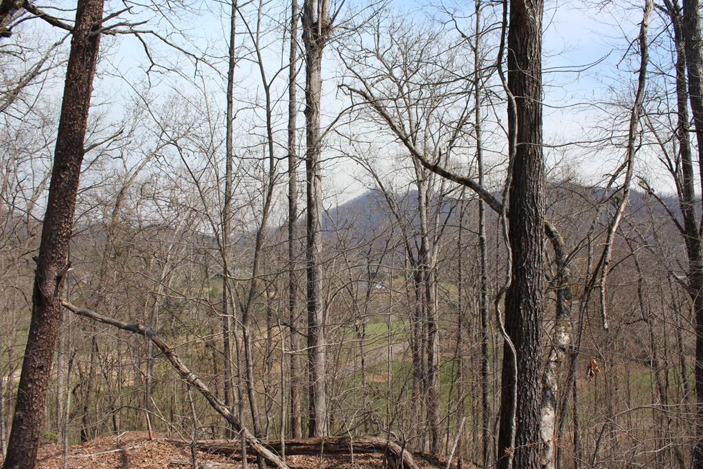 Lot 83A Licklog Ridge Property Photo 1