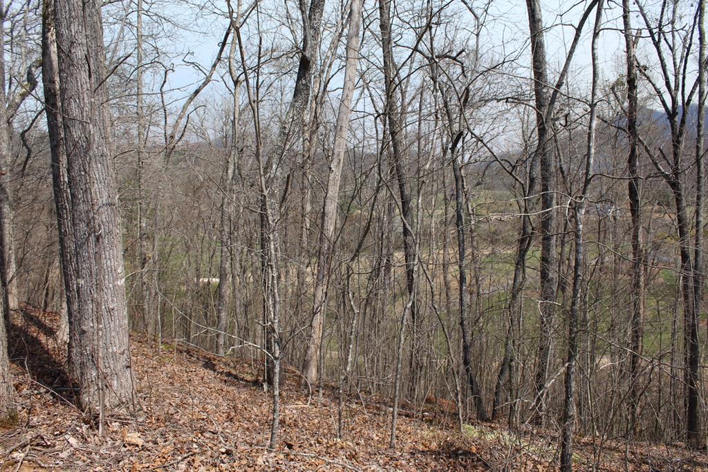 Lot 86A Licklog Ridge Property Photo 1