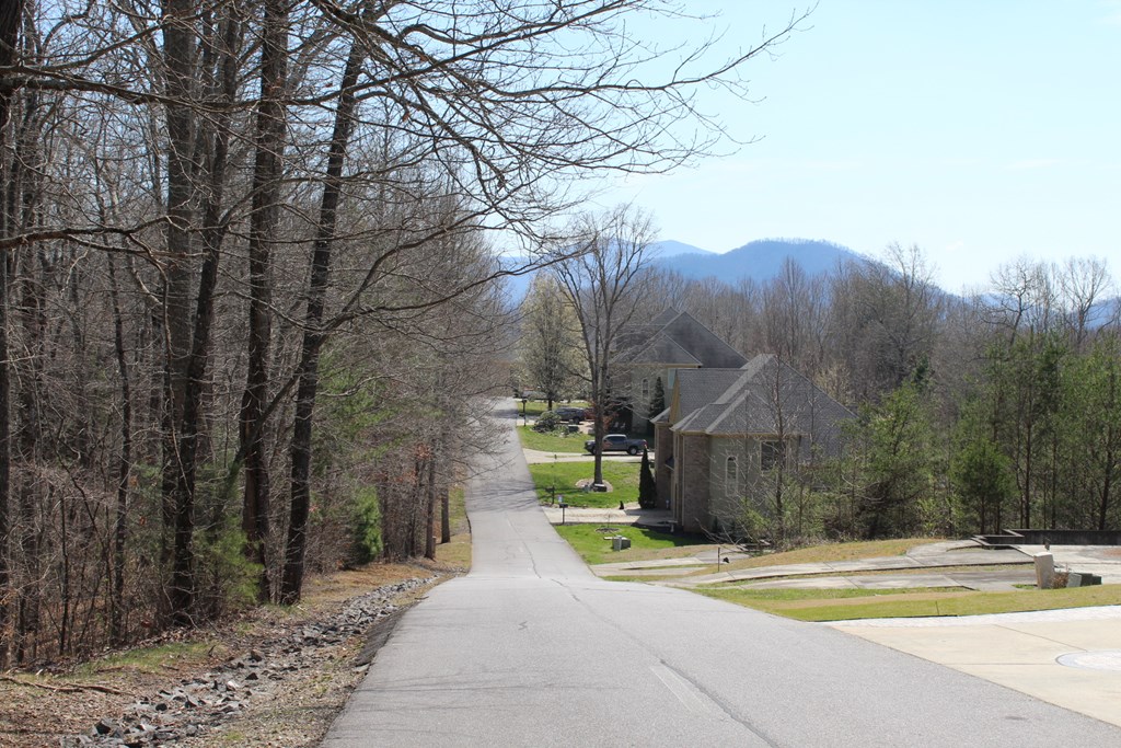 Lot 86a Licklog Ridge Property Photo 3
