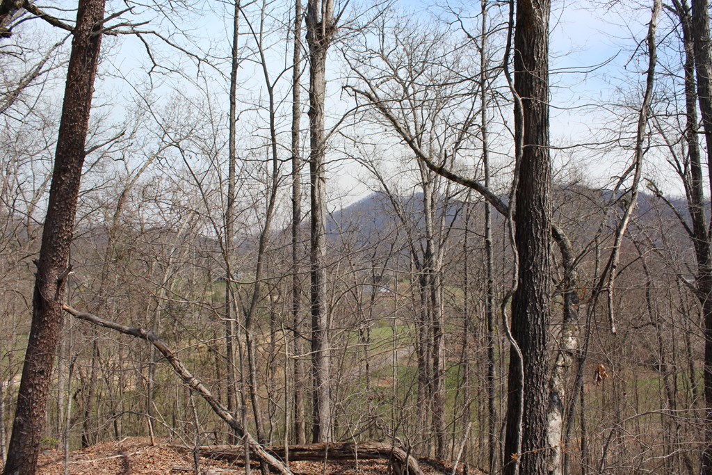 Lot 86a Licklog Ridge Property Photo 4