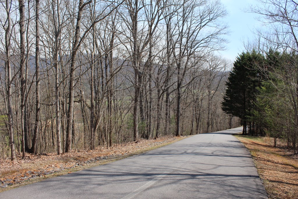 Lot 86a Licklog Ridge Property Photo 6