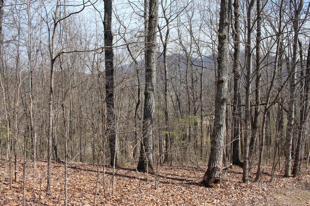 Lot 87A Licklog Ridge Property Photo 1