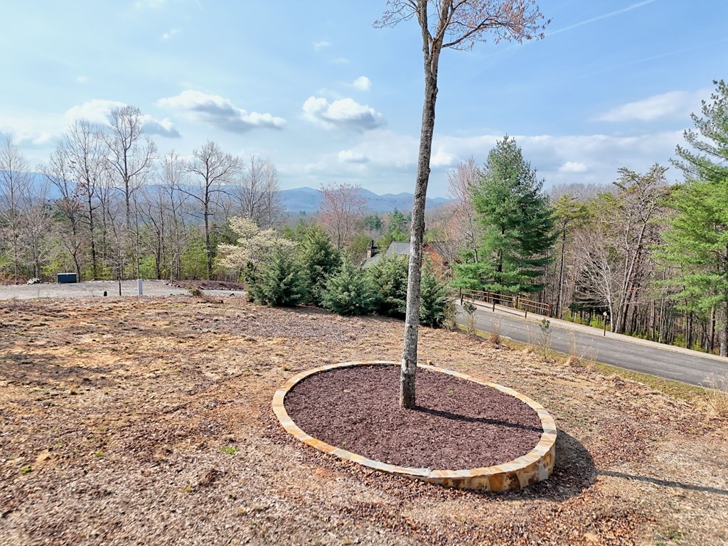 720 Meadow Brook Trail Property Photo 32