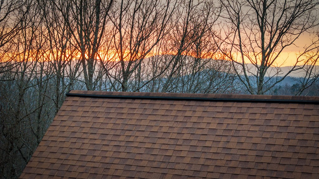 1150 Mountain High Drive Property Photo 45