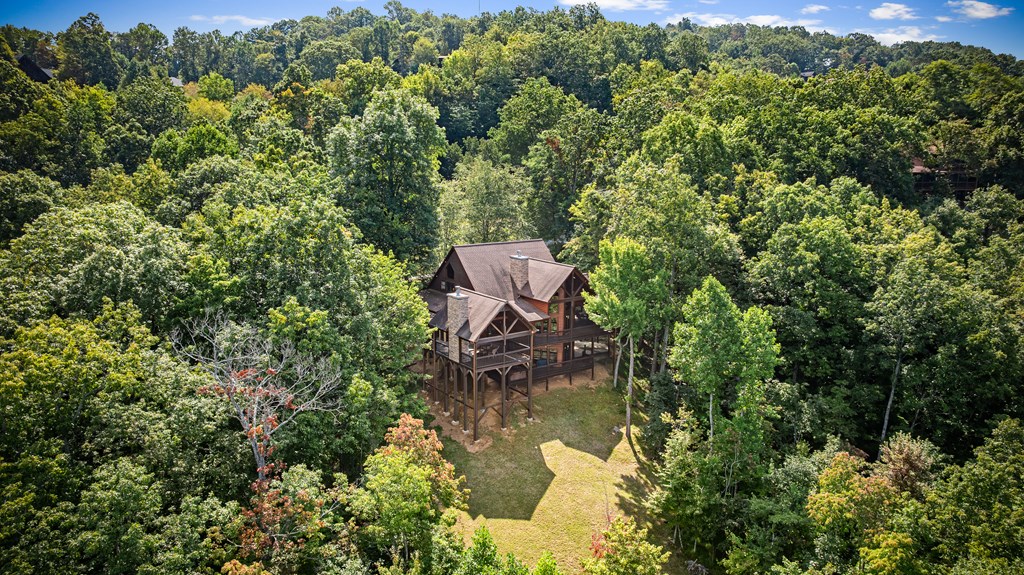 1150 Mountain High Drive Property Photo 71