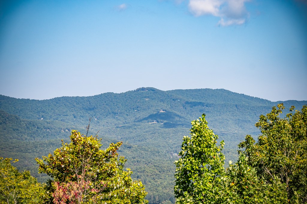 1150 Mountain High Drive Property Photo 77