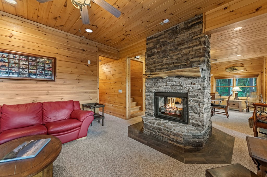 1150 Mountain High Drive Property Photo 91
