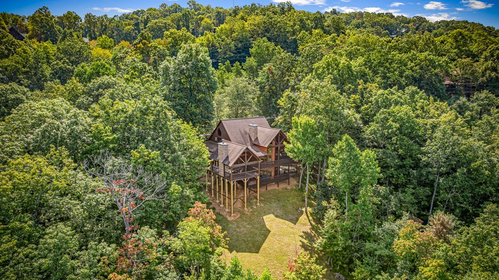 1150 Mountain High Drive Property Photo 124