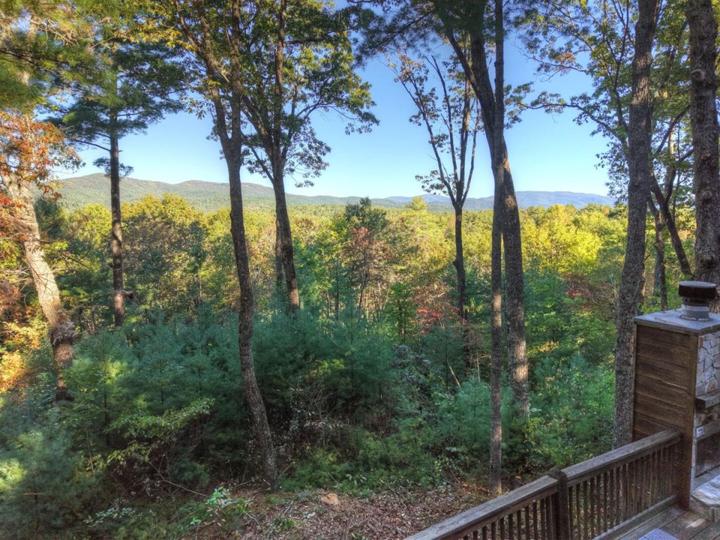 587 Candy Lane Property Photo 21