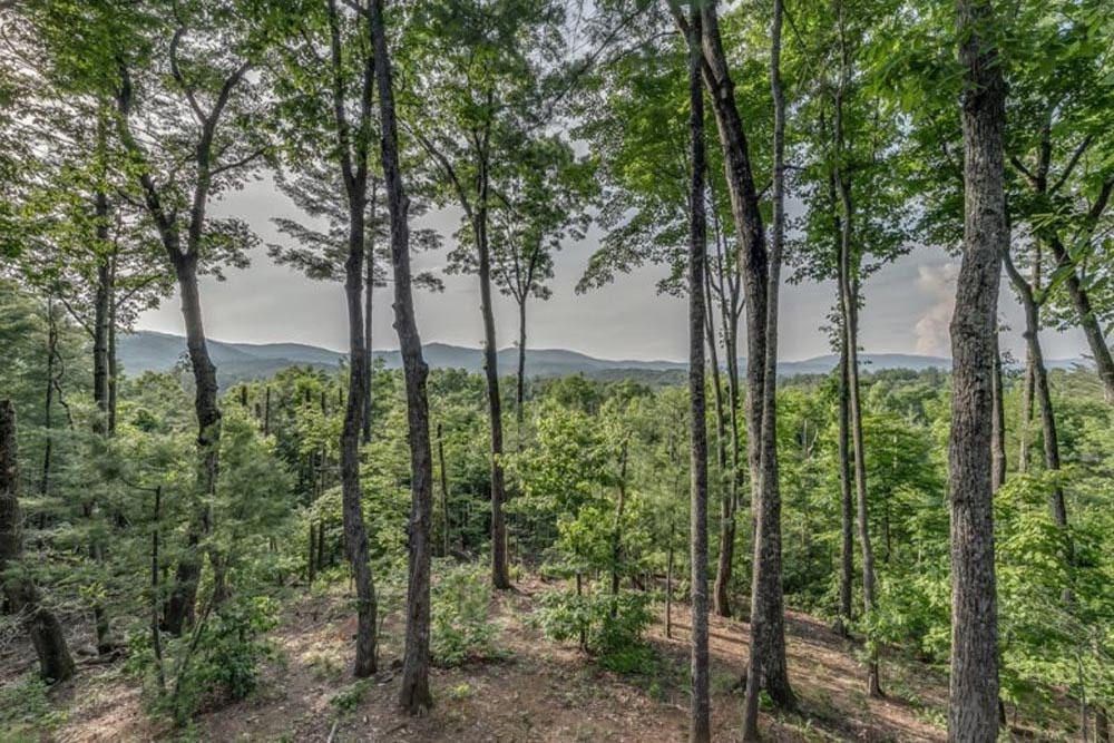 587 Candy Lane Property Photo 35