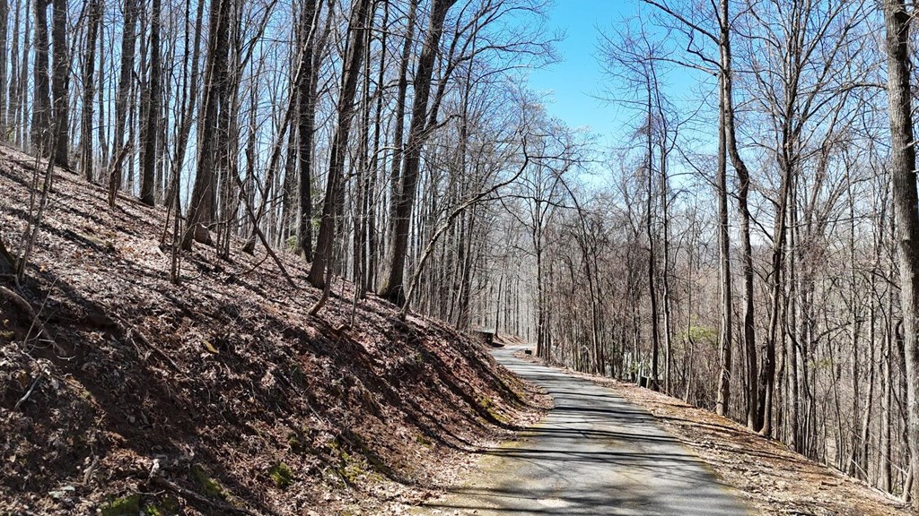 Lot 100 Timberline Acres Property Photo 3