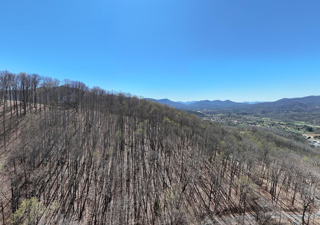 Lot 100 Timberline Acres Property Photo 4