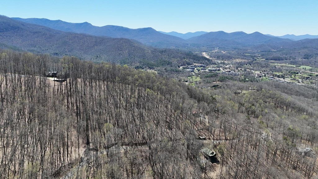 Lot 100 Timberline Acres Property Photo 6