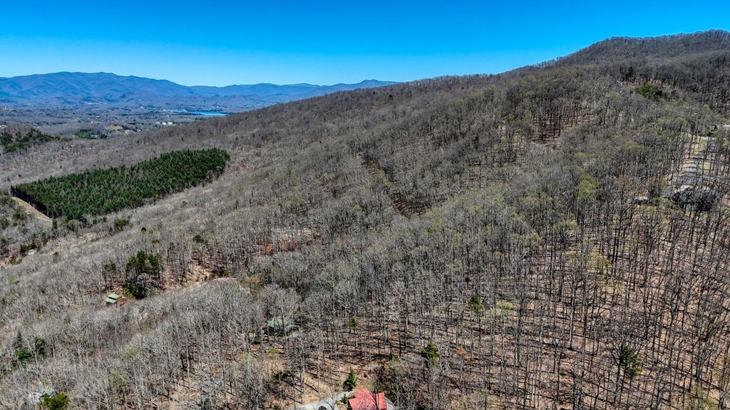 Lot 100 Timberline Acres Property Photo 8