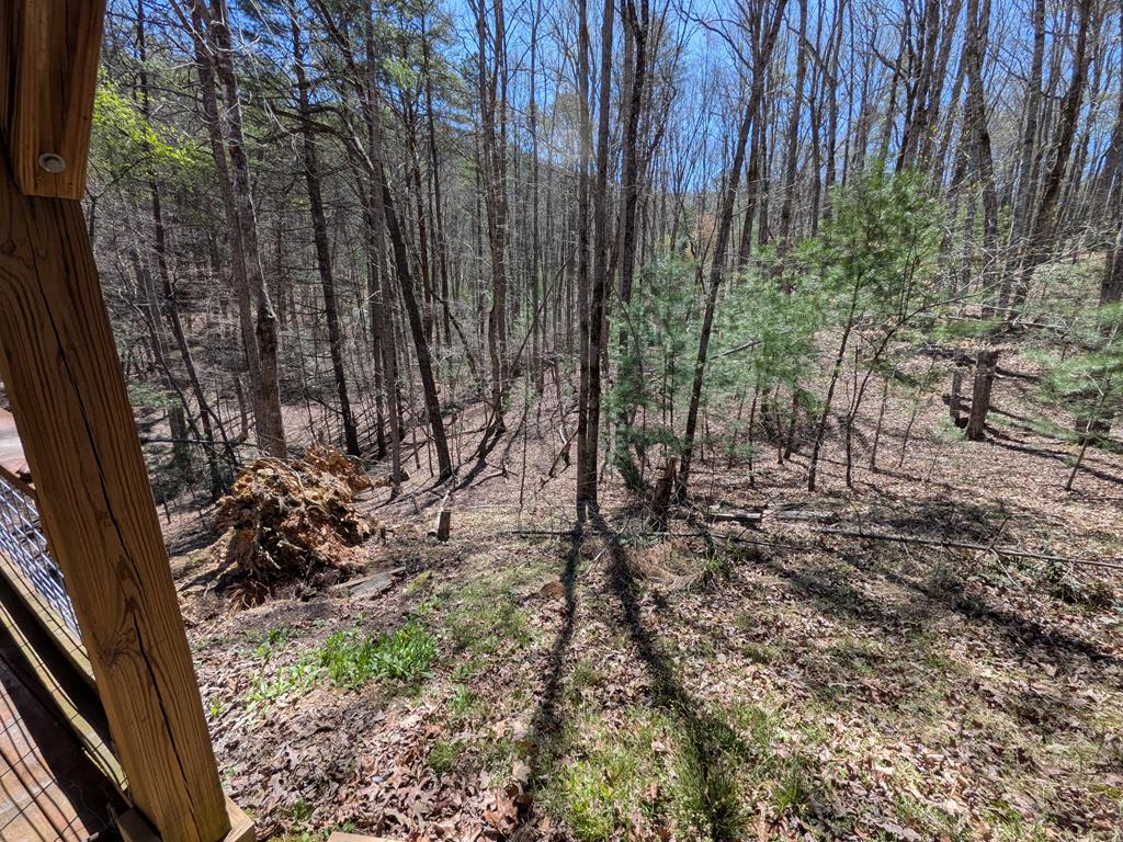 183 Ray-mar Acres Drive Property Photo 27