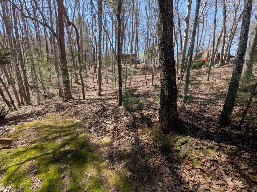 183 Ray-mar Acres Drive Property Photo 32