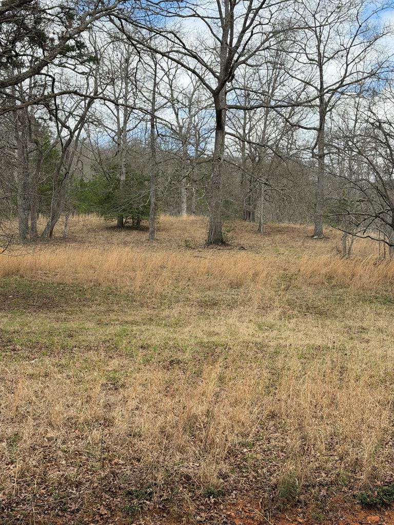 2-5 Country Lane Property Photo 1