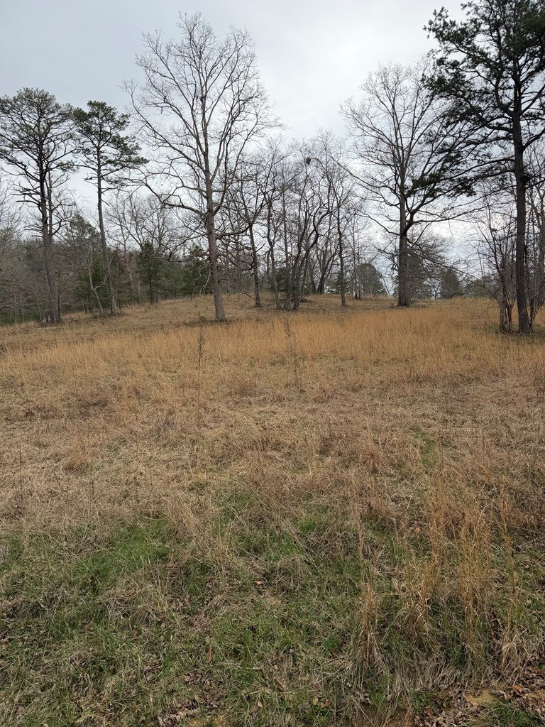 2-5 Country Lane Property Photo 2