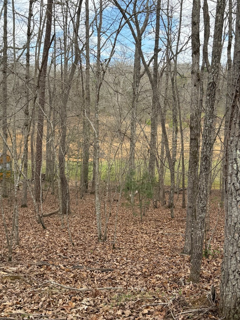 2-5 Country Lane Property Photo 3