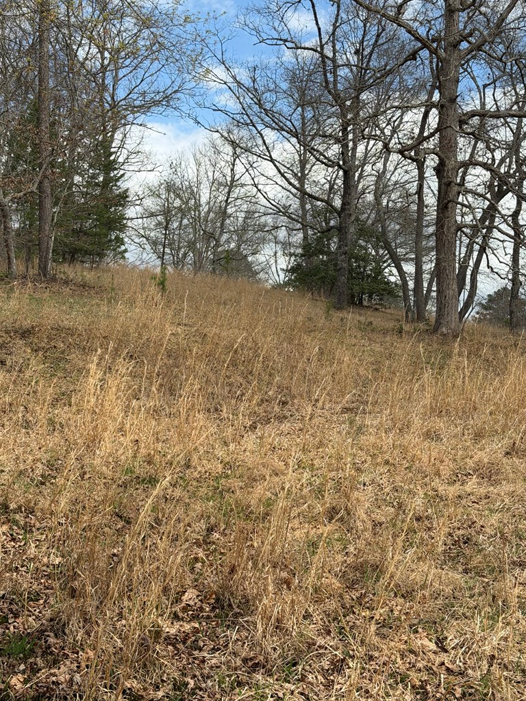 2-5 Country Lane Property Photo 5
