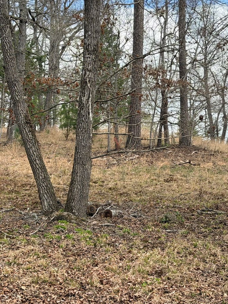 2-5 Country Lane Property Photo 6