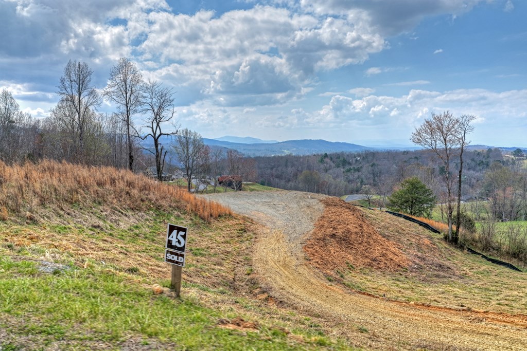 Lot 45 Big Valley Drive Property Photo 10