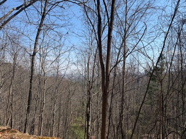 Lot 16 Laurel Mountain Property Photo 1