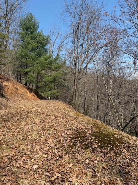 Lot 16 Laurel Mountain Property Photo 4