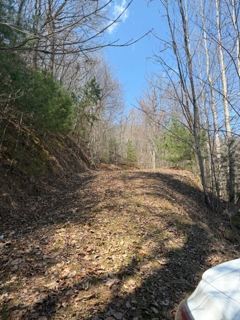 Lot 16 Laurel Mountain Property Photo 5