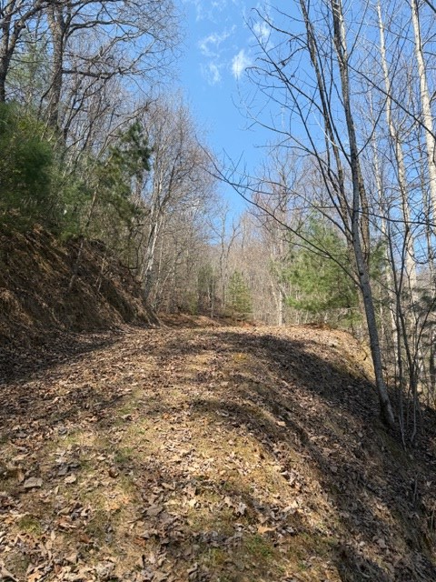 Lot 16 Laurel Mountain Property Photo 7
