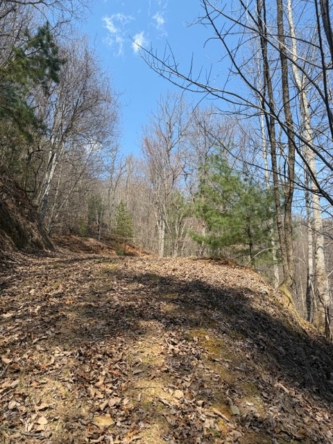 Lot 16 Laurel Mountain Property Photo 8