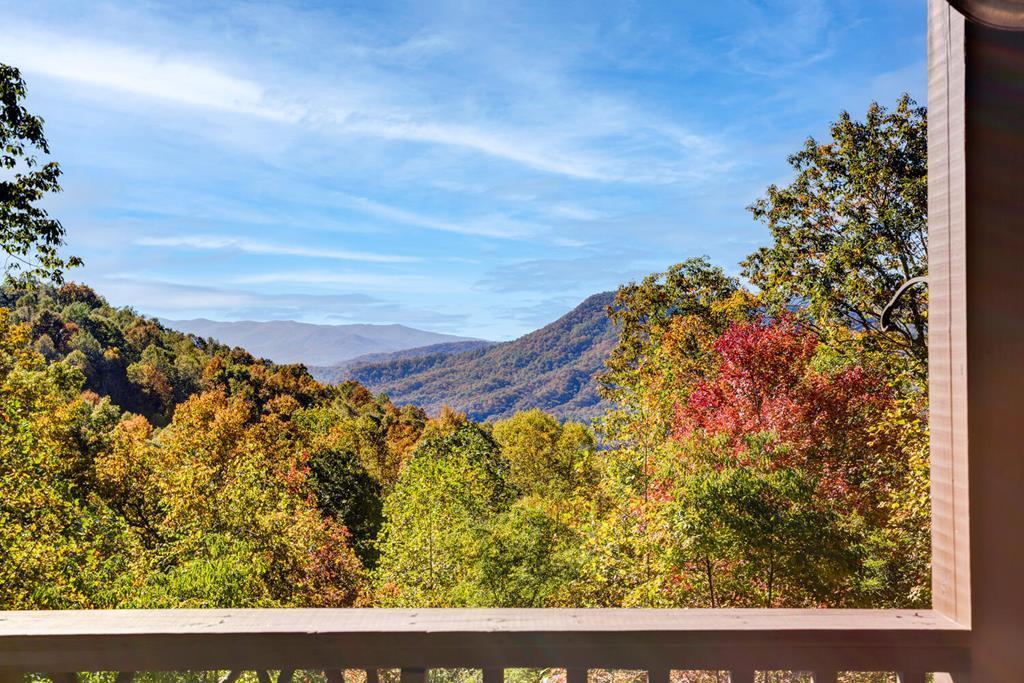 7031 Black Bear Trail Property Photo 1