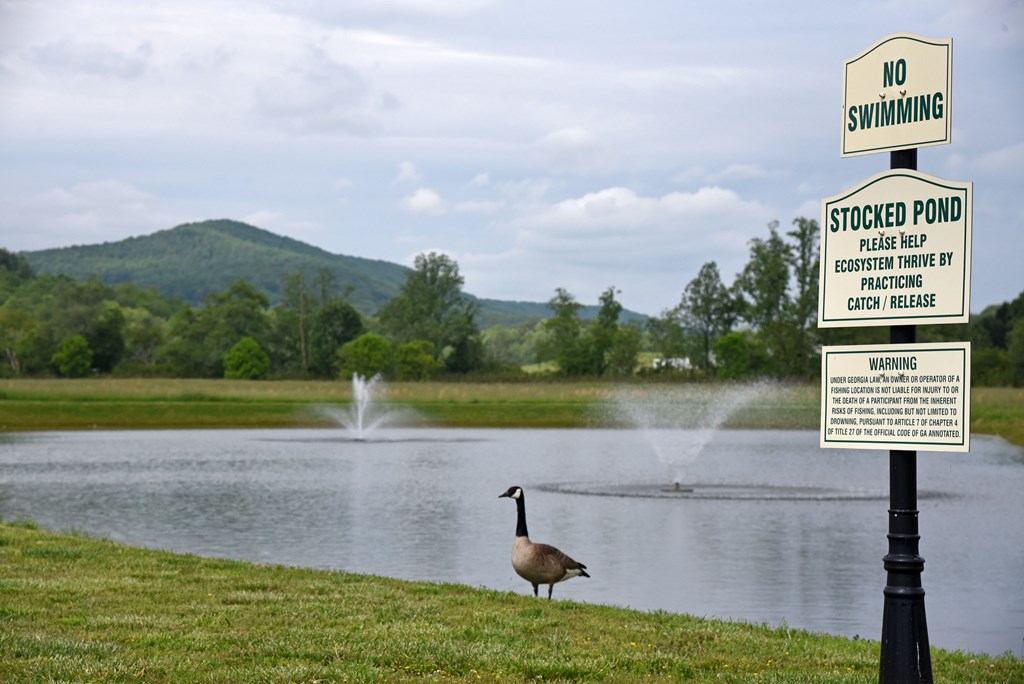 Lot 268 Mountain Vista Road Property Photo 28