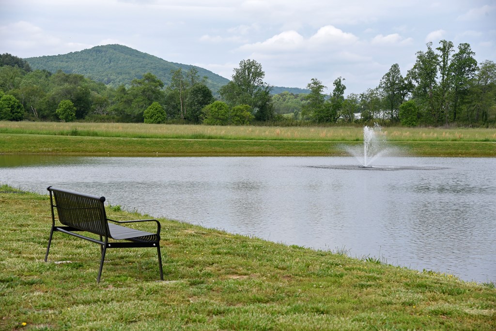 Lot 268 Mountain Vista Road Property Photo 29