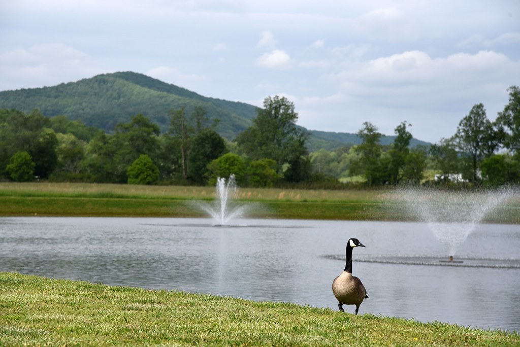Lot 268 Mountain Vista Road Property Photo 31