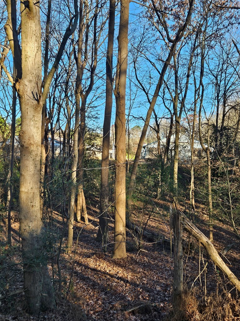 Lot 256 Elmwood Circle Property Photo 2