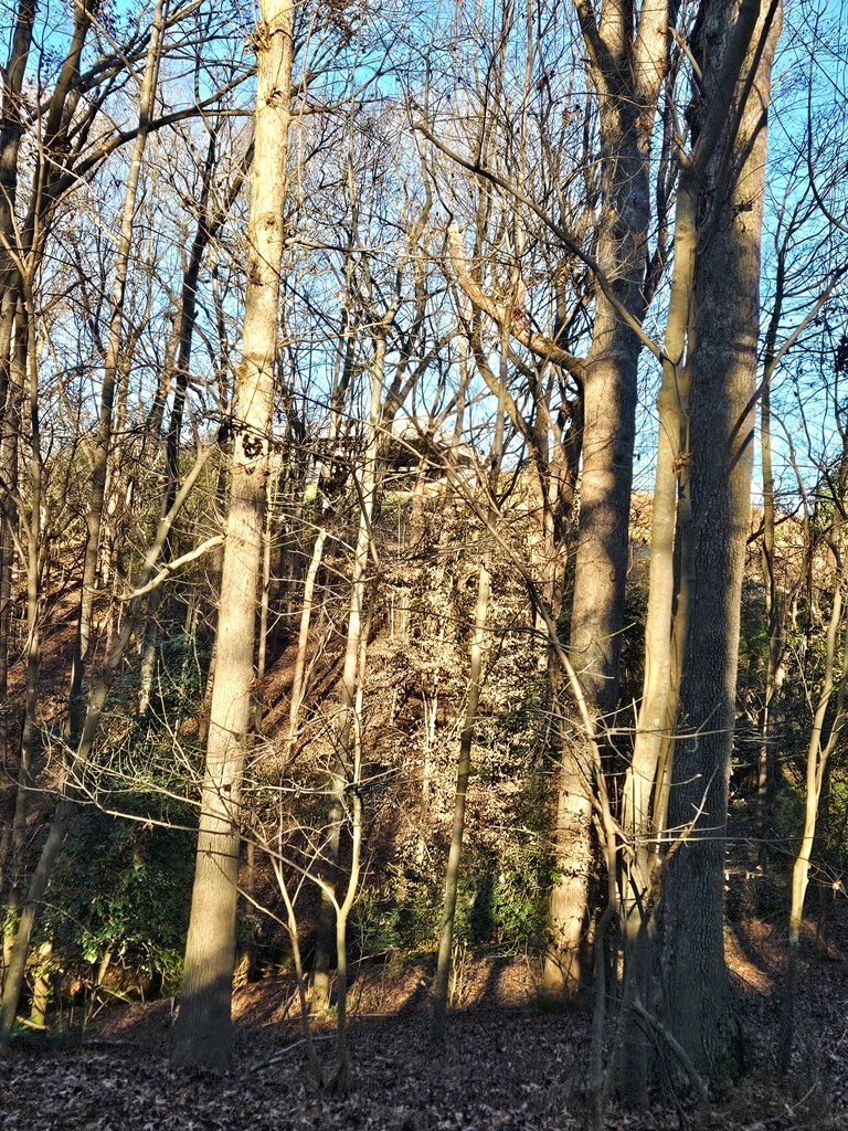 Lot 256 Elmwood Circle Property Photo 3