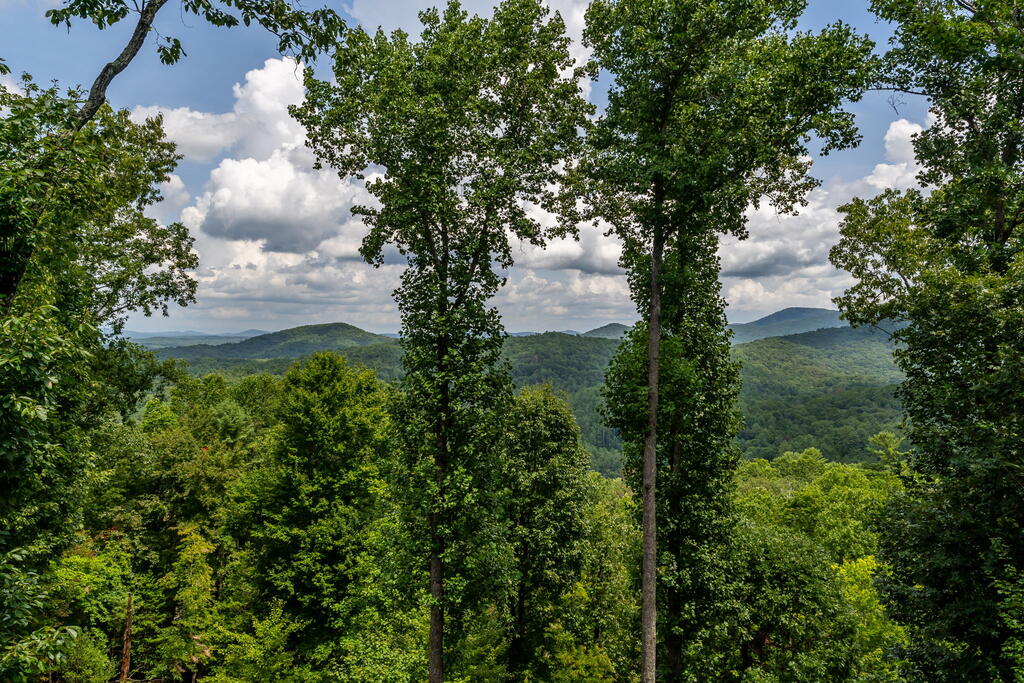967 River Bend Lane Property Photo 9