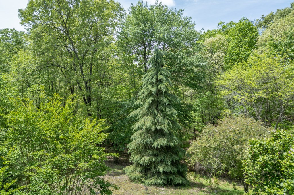 1204 Brookhaven Lane Property Photo 30
