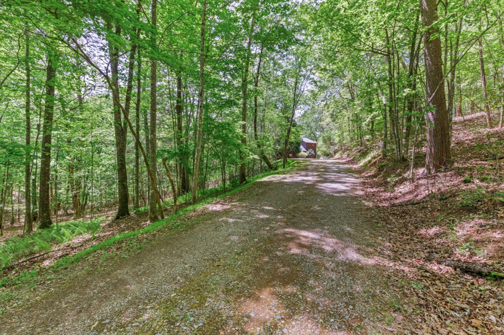 1204 Brookhaven Lane Property Photo 31