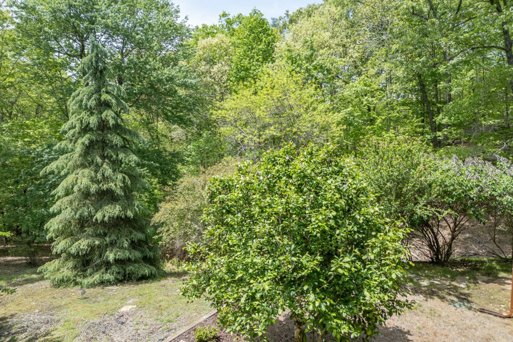 1204 Brookhaven Lane Property Photo 32