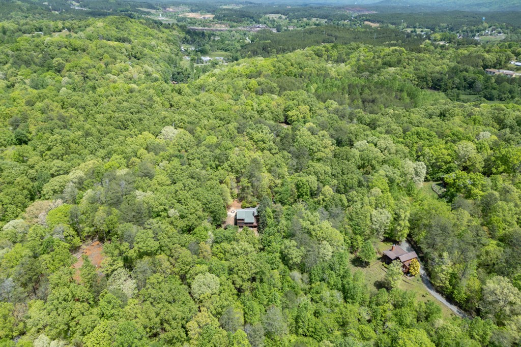 1204 Brookhaven Lane Property Photo 34