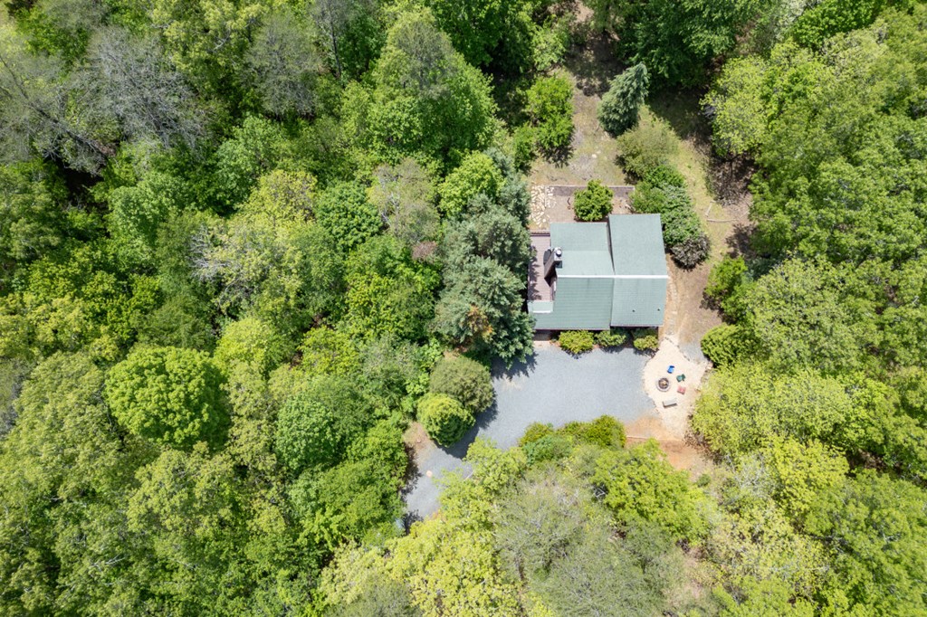 1204 Brookhaven Lane Property Photo 37