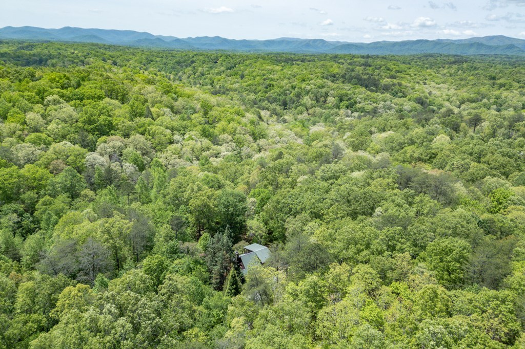 1204 Brookhaven Lane Property Photo 40