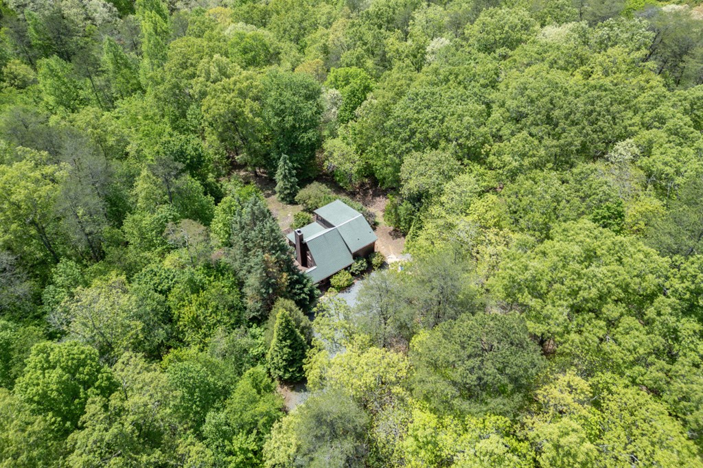 1204 Brookhaven Lane Property Photo 41
