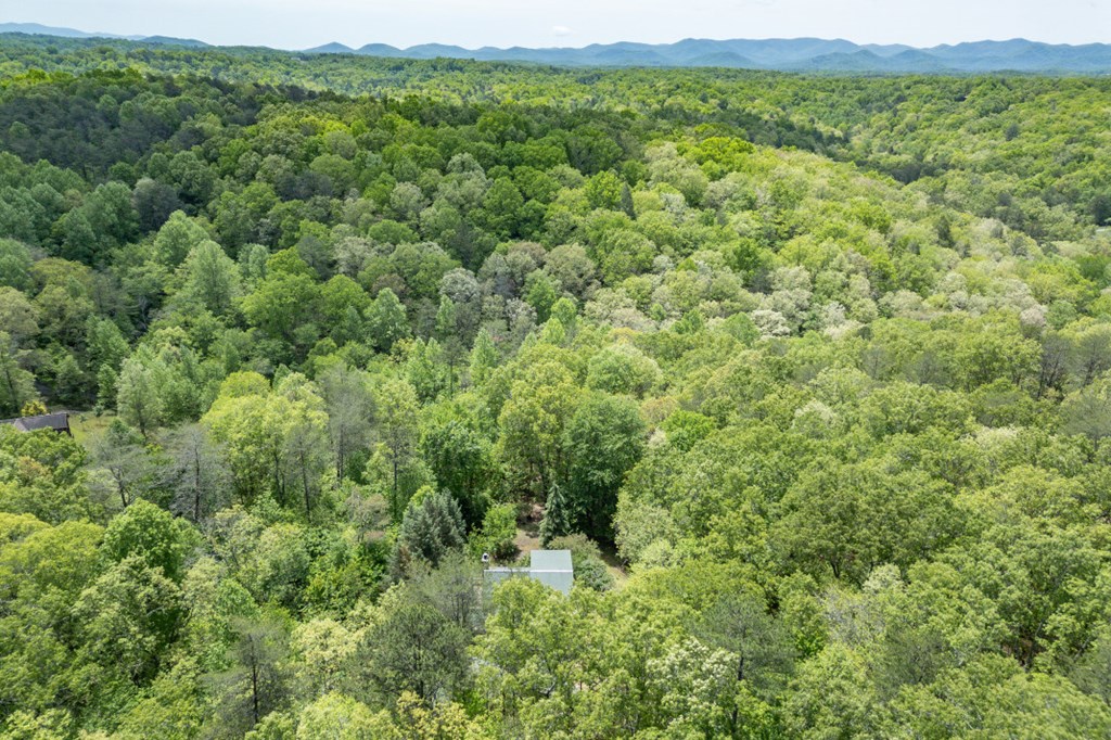 1204 Brookhaven Lane Property Photo 42