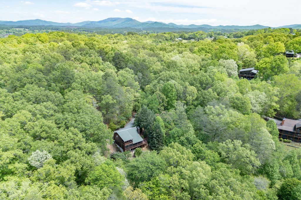1204 Brookhaven Lane Property Photo 43