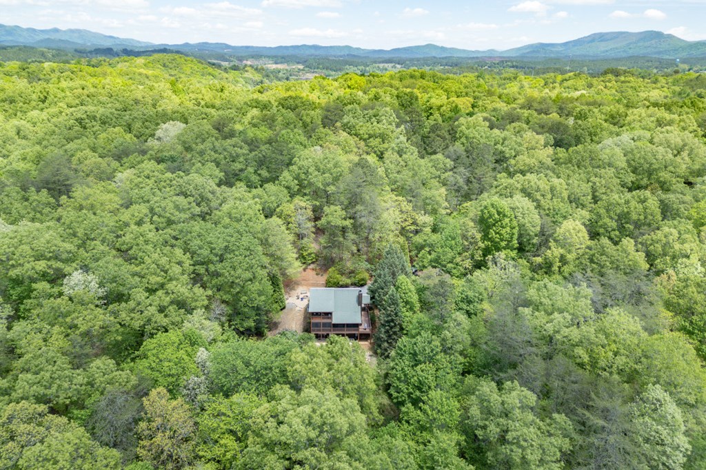 1204 Brookhaven Lane Property Photo 44
