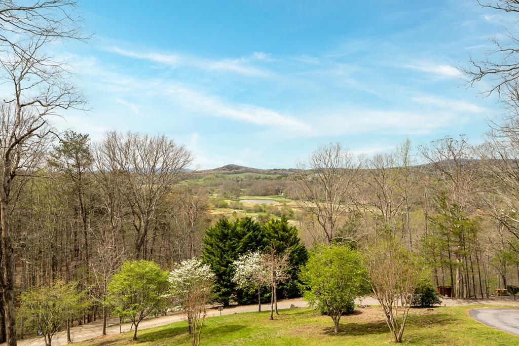 239 Northwoods Circle Property Photo 69