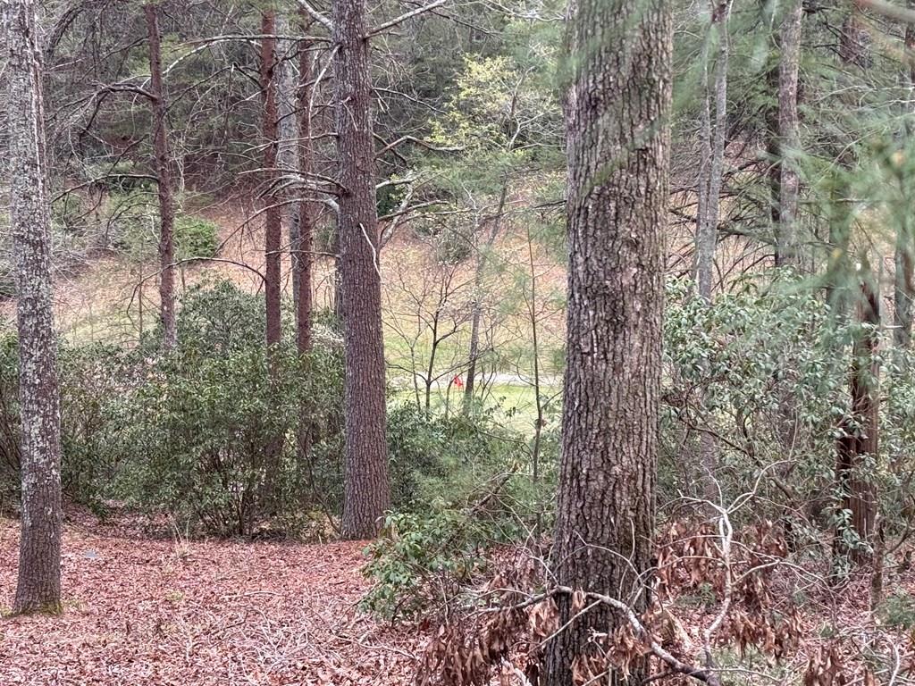 Lot 43 Seneca Drive Property Photo 1